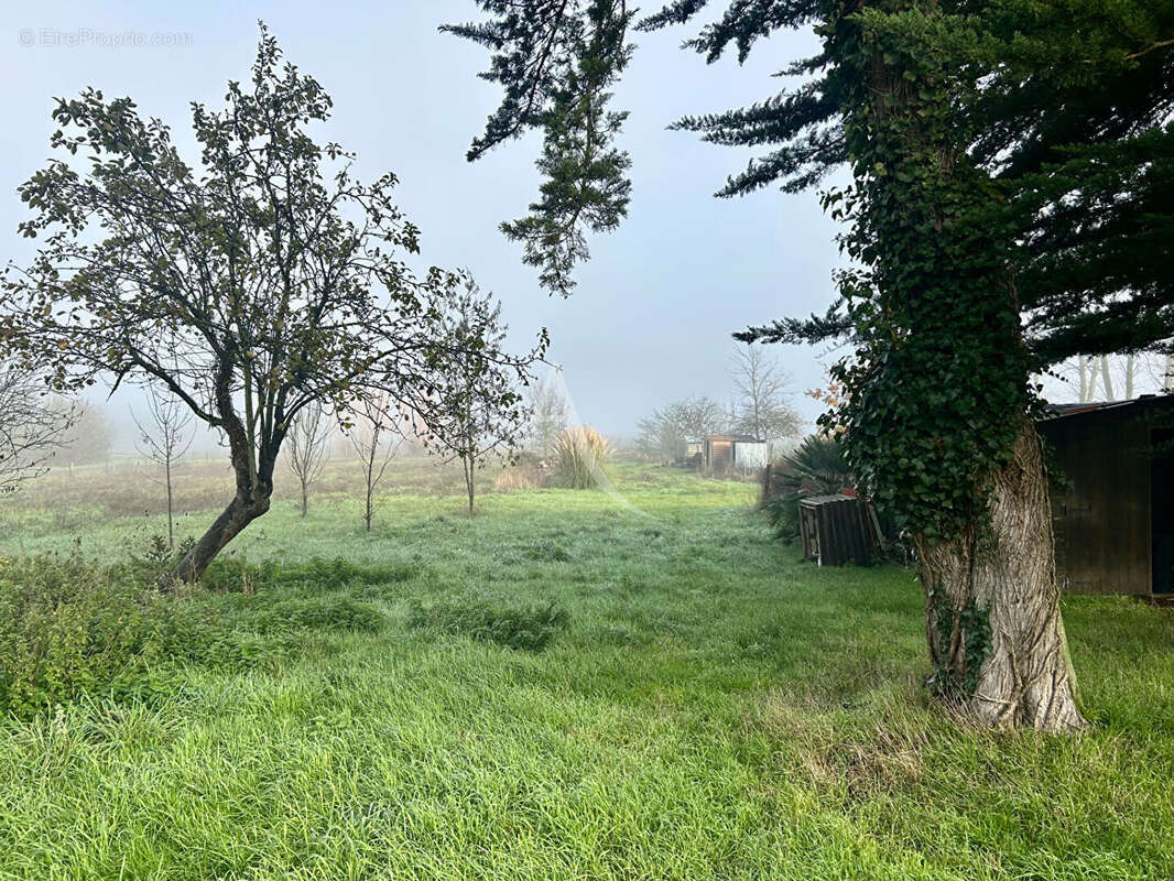 Maison à LA TAILLEE