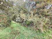 Terrain à NEANT-SUR-YVEL