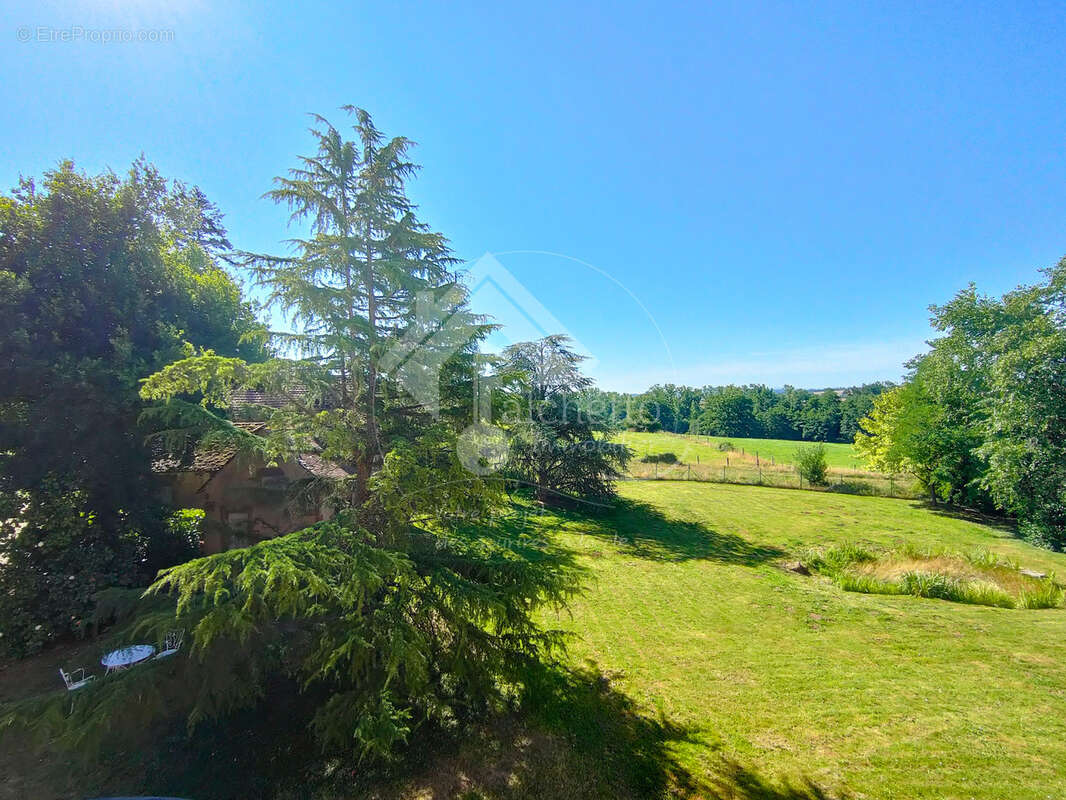 Château avec 30ha - Allier - photo 15