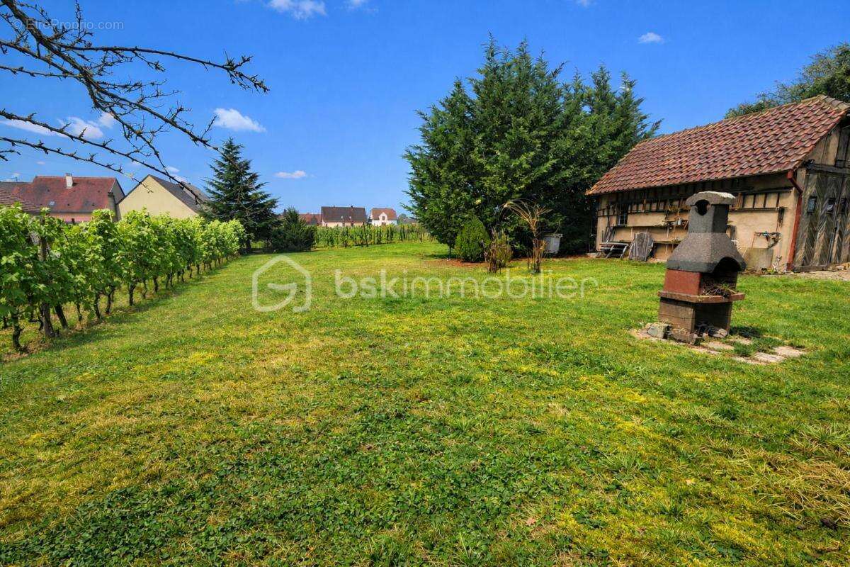 Maison à DAMBACH-LA-VILLE