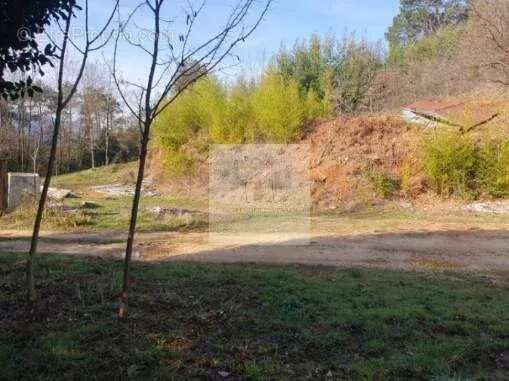 Terrain à SAINTE-CECILE-D&#039;ANDORGE