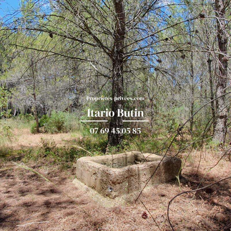 Terrain à CAPESTANG