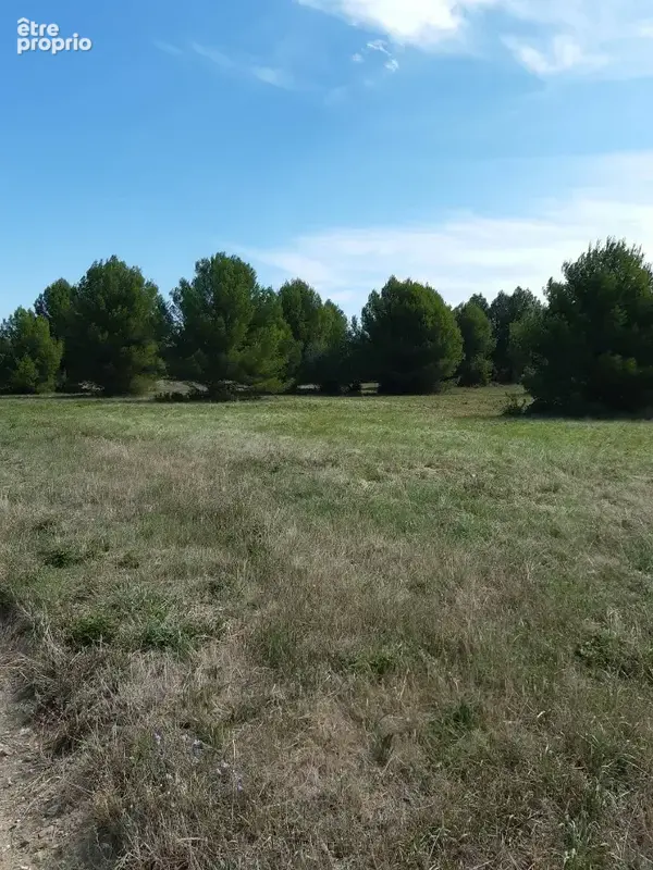 Terrain 405 m² à vendre à Saint-Pargoire (34230) - photo 2