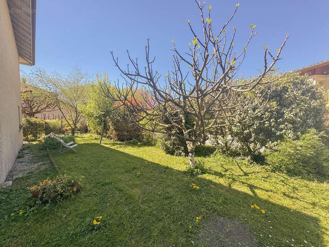 n°4 - Maison à SAINT-EGREVE