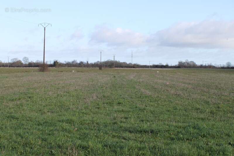 Terrain à PLEUMARTIN