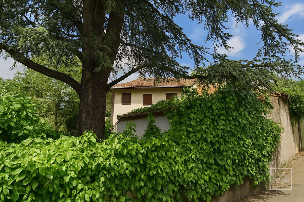 Maison à LISSIEU