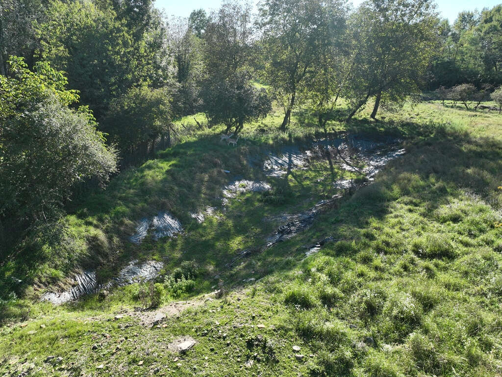 Terrain à SAINT-GERMAIN-DES-FOSSES