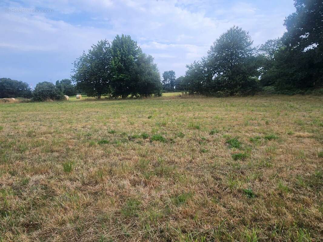 Magnifique terrain constructible - photo 3