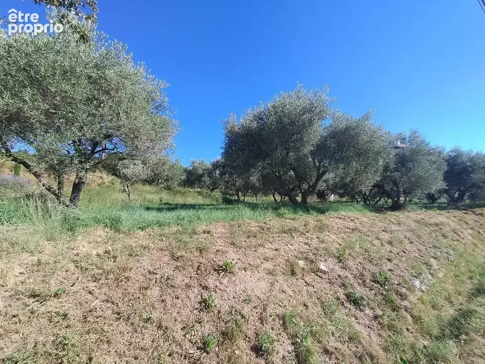 Terrain 2504 m² à Barjac  - photo 3