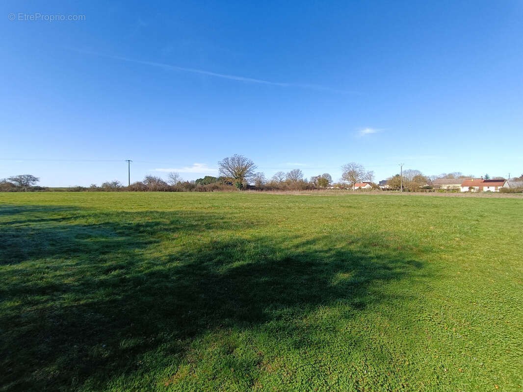 Terrain à COUY
