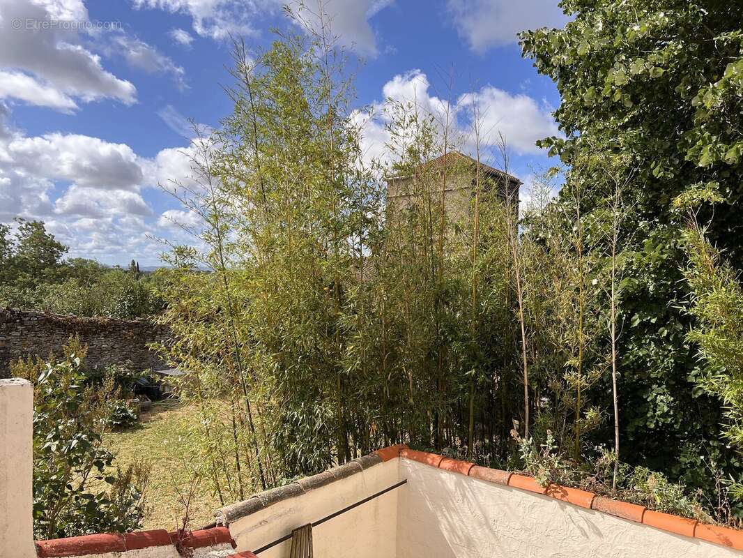 Jolie maison de village pleine de charme avec cour ensoleillée - photo 11