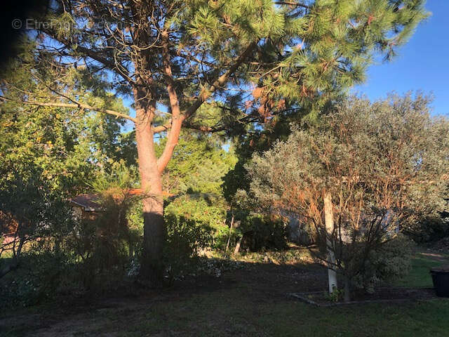 Maison à VENDAYS-MONTALIVET