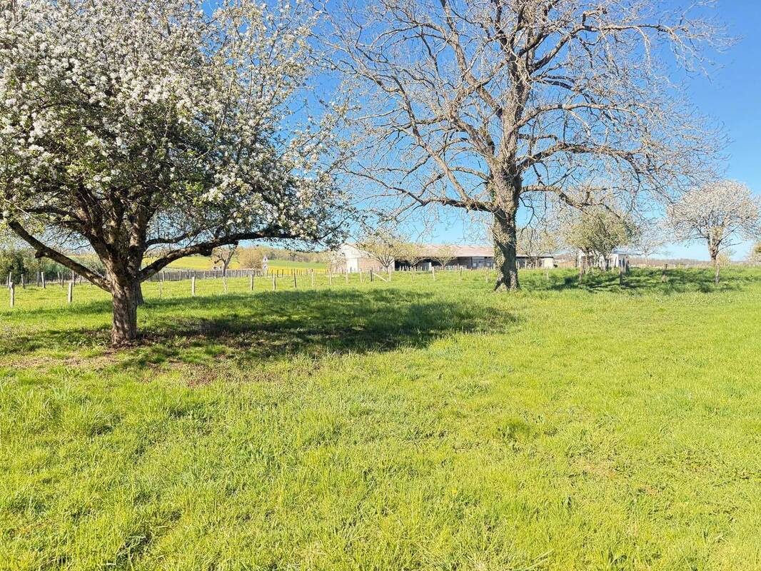 Photo 1 - Terrain à BUTHIERS