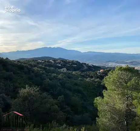 Les albères  terrain constructible 660 m2 villa 4 faces - photo 5
