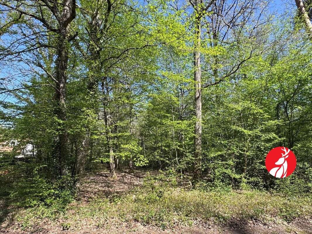 Terrain à NOISY-SUR-ECOLE