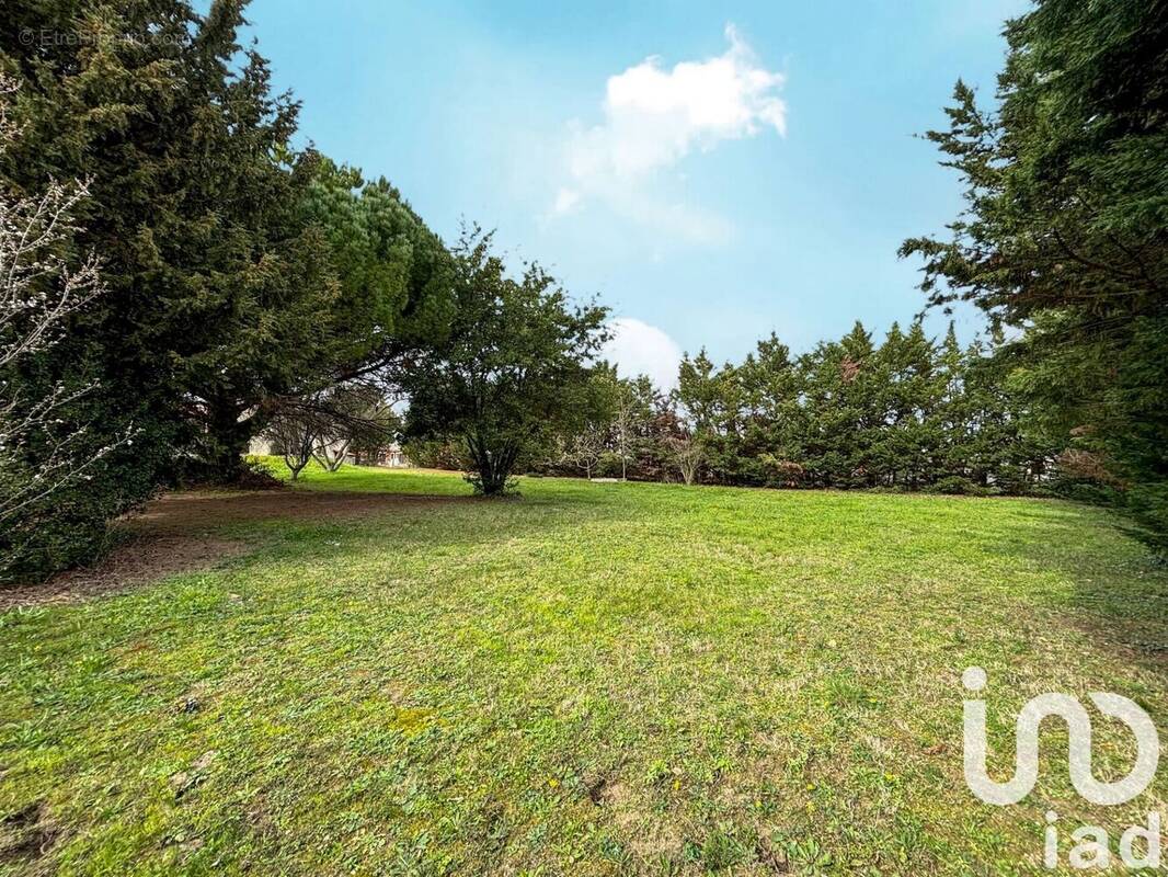 Photo 1 - Terrain à CARCASSONNE