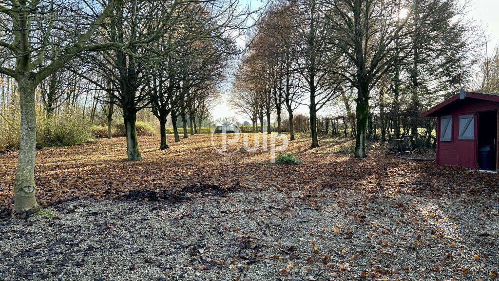 Maison à GIVENCHY-EN-GOHELLE