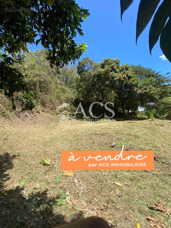 Terrain à LES TROIS-ILETS