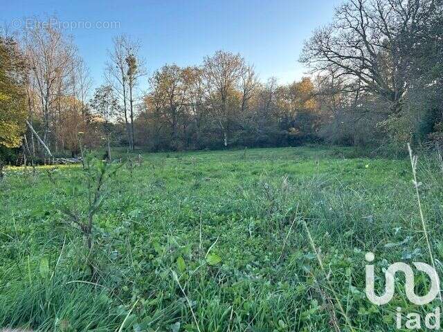 Photo 4 - Terrain à DOMPIERRE-SUR-YON