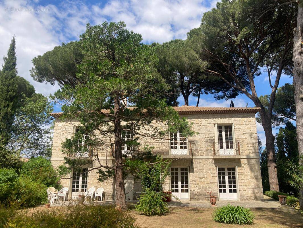 Maison à MONTPELLIER