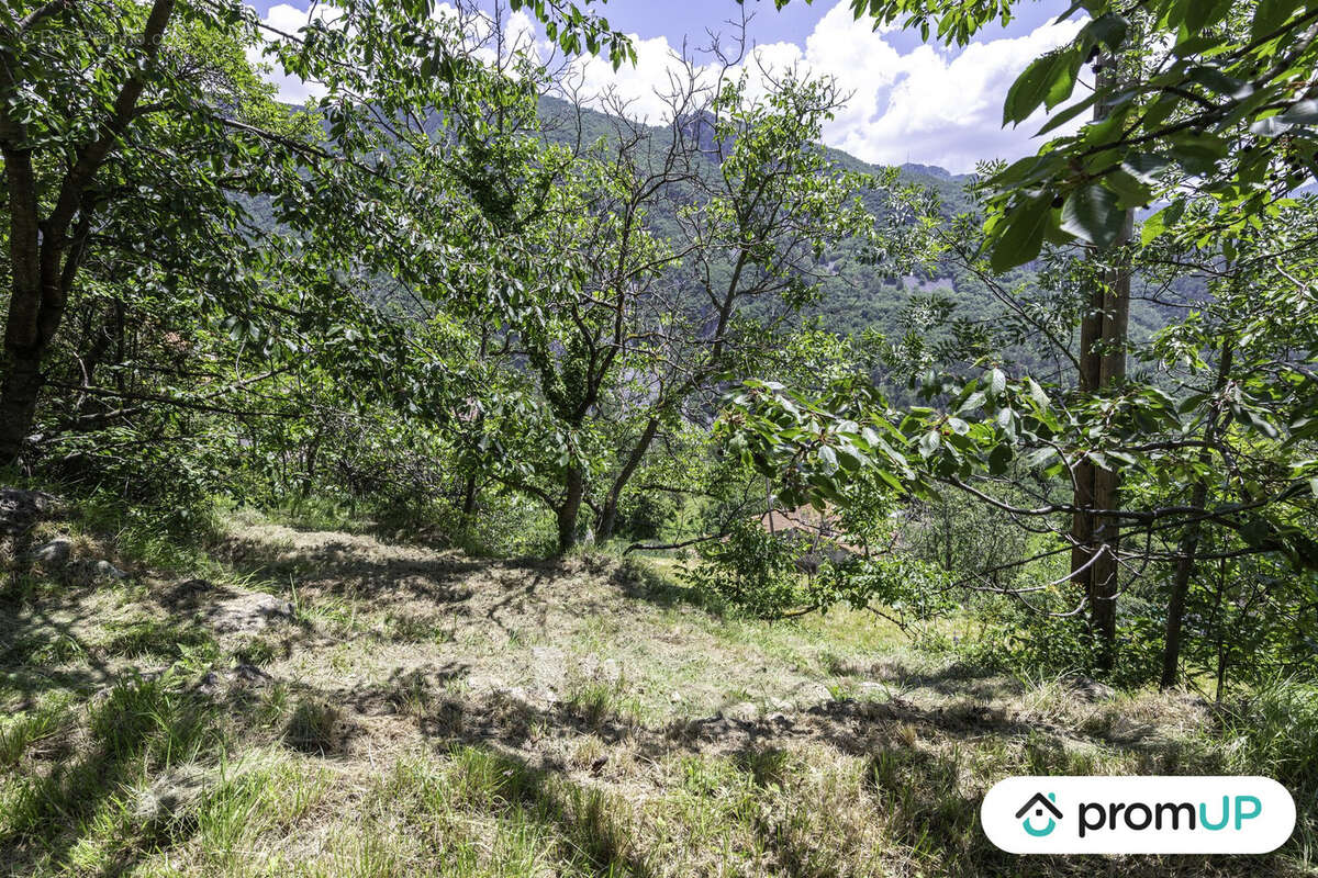 Terrain à BELVEDERE