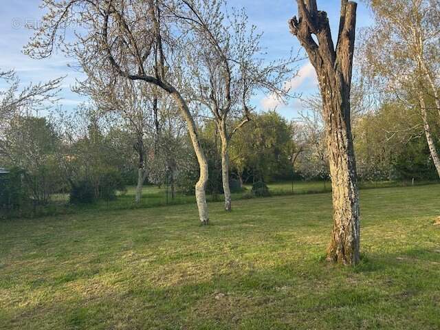 Terrain à MARTILLAC