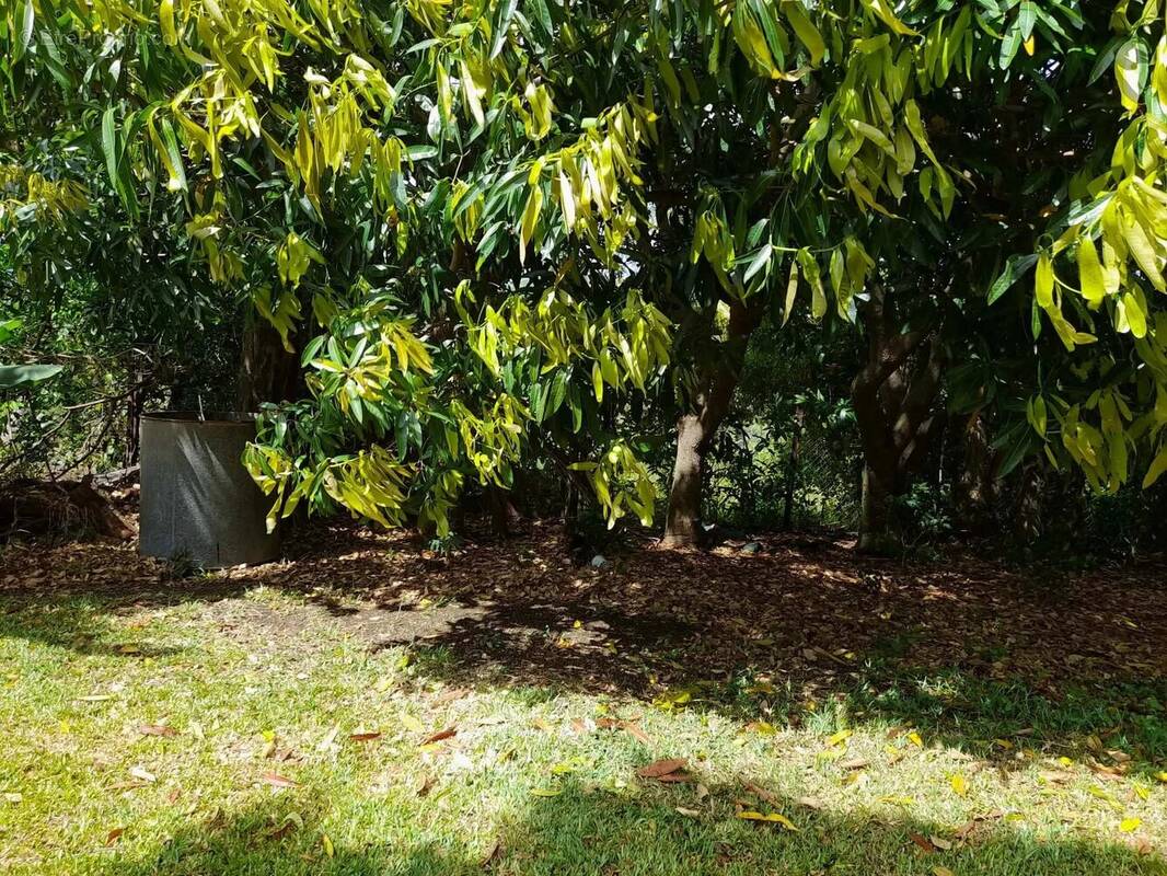 Terrain à SAINT-PIERRE