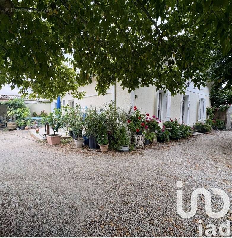 Photo 1 - Maison à LALANDE-DE-POMEROL