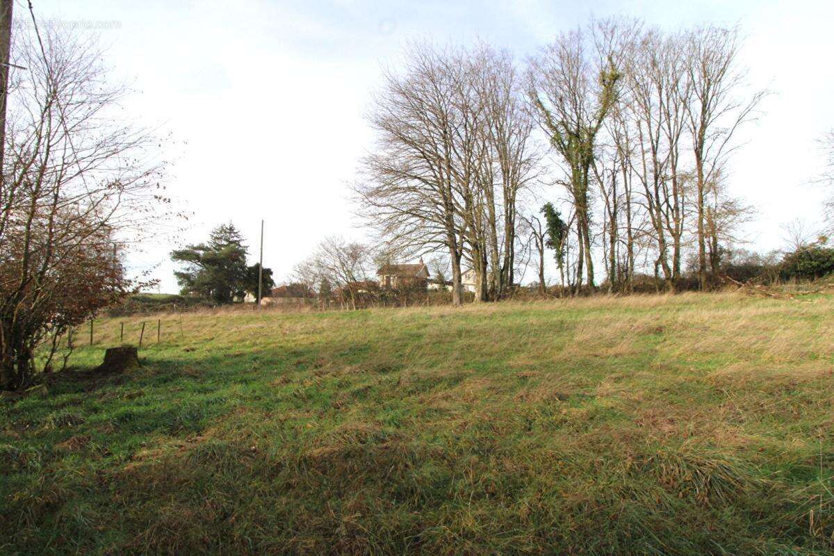 Terrain à PERROUSE