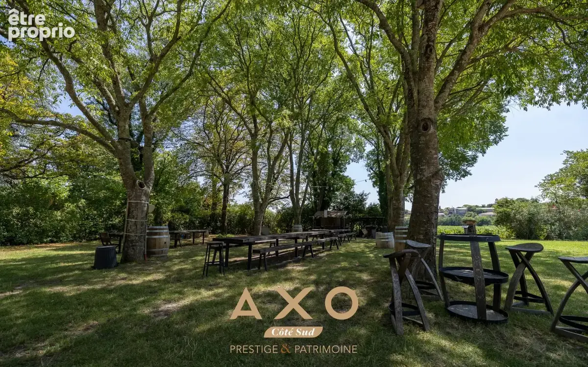 Asperes - domaine viticole - 60 hectares - 13 pieces - 875 m² - 3 900 000  - photo 18