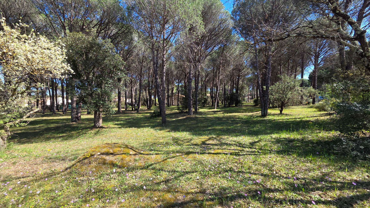 Terrain à VIDAUBAN