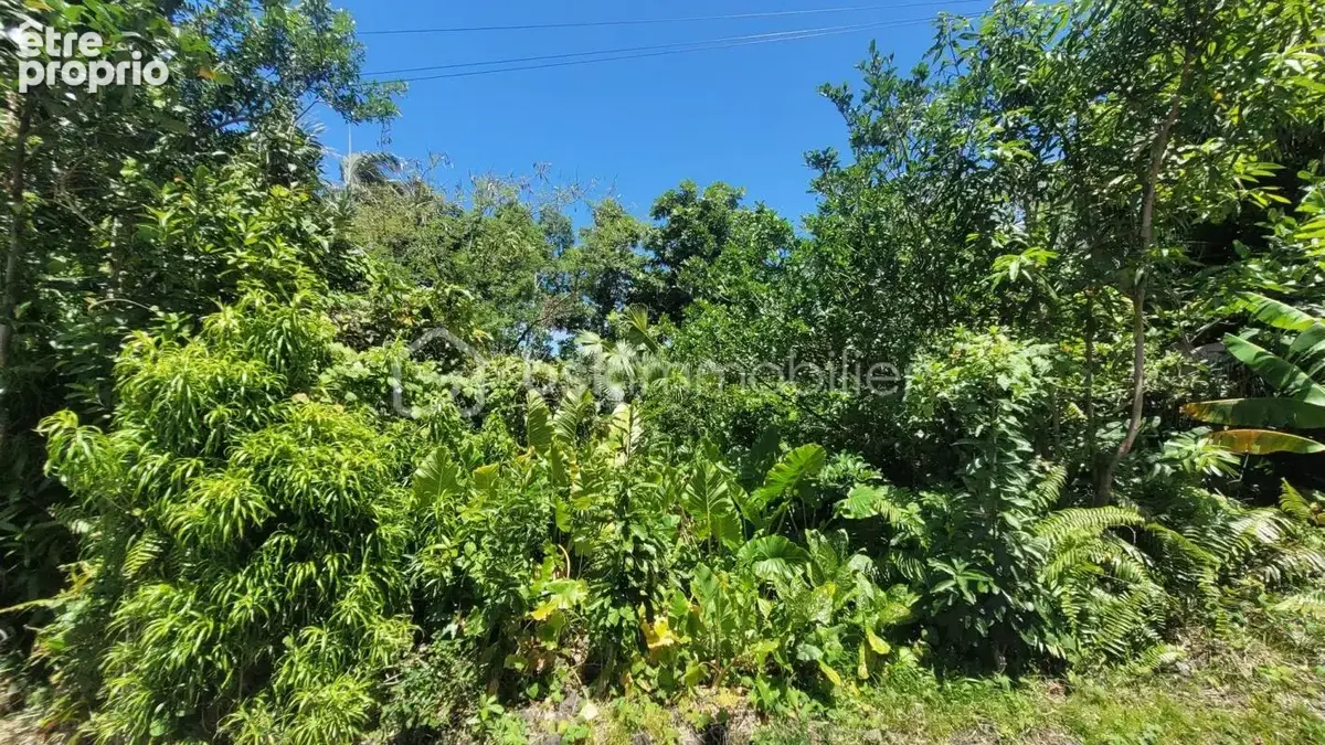 Vente Terrain Constructible de 778 m² Le Baril - Saint-Philippe - photo 6
