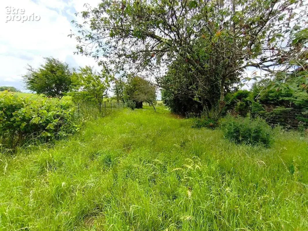 Maison de caractère avec jardin et fort potentiel d'aménagement - photo 15