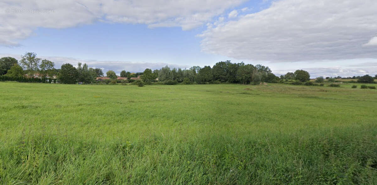 Terrain à BAGE-LA-VILLE