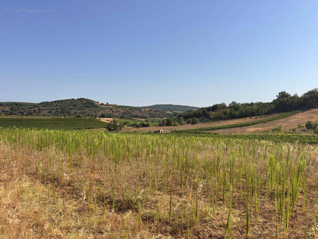 Terrain à PAULIGNE