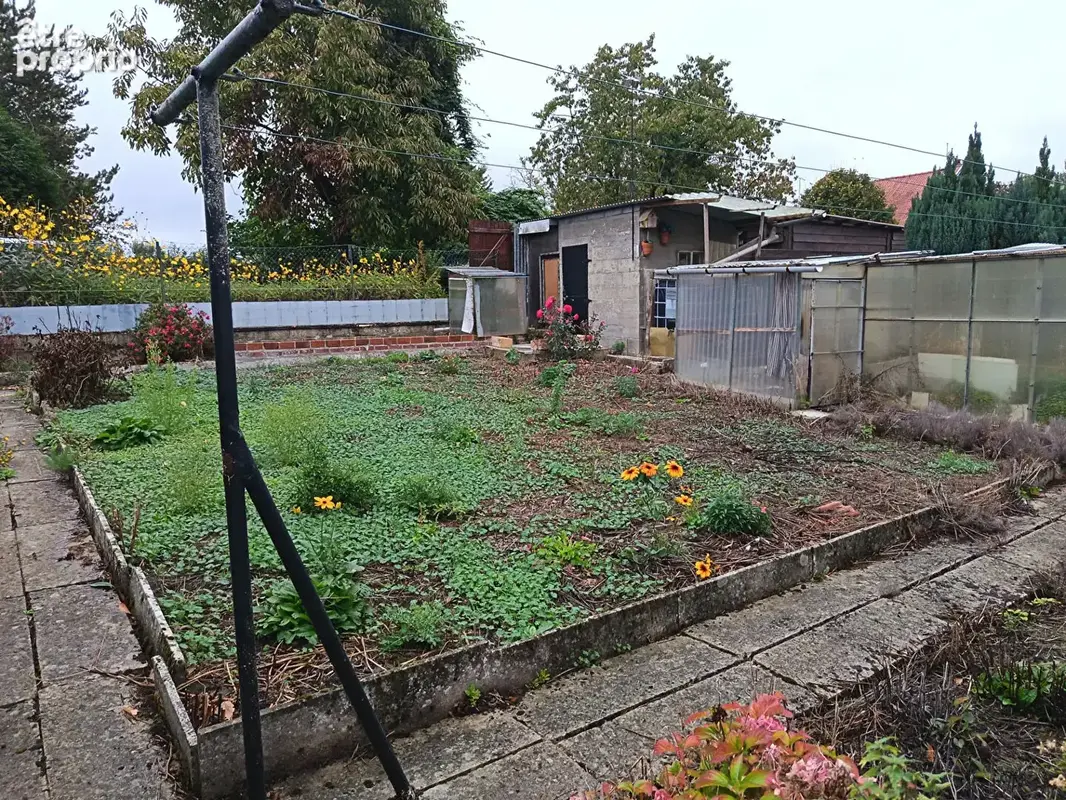 Bohain-en-Vermandois (02110) - photo 15