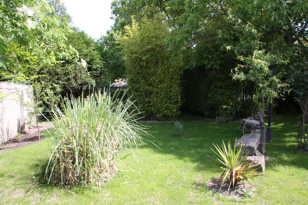 Commerce à SAINT-SATUR