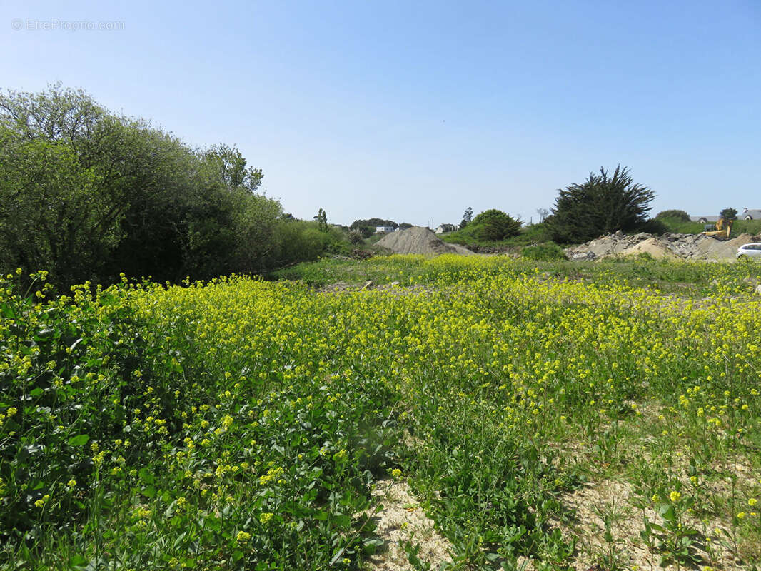 Terrain à PIRIAC-SUR-MER