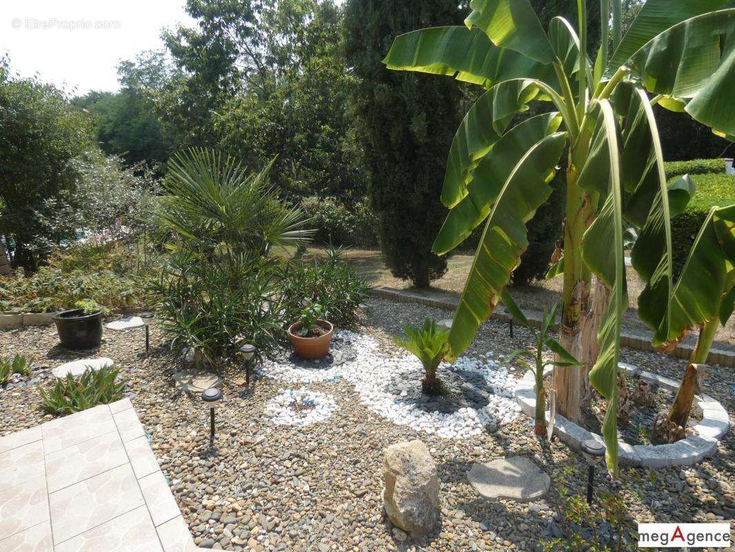 Maison au charme Landais - photo 13