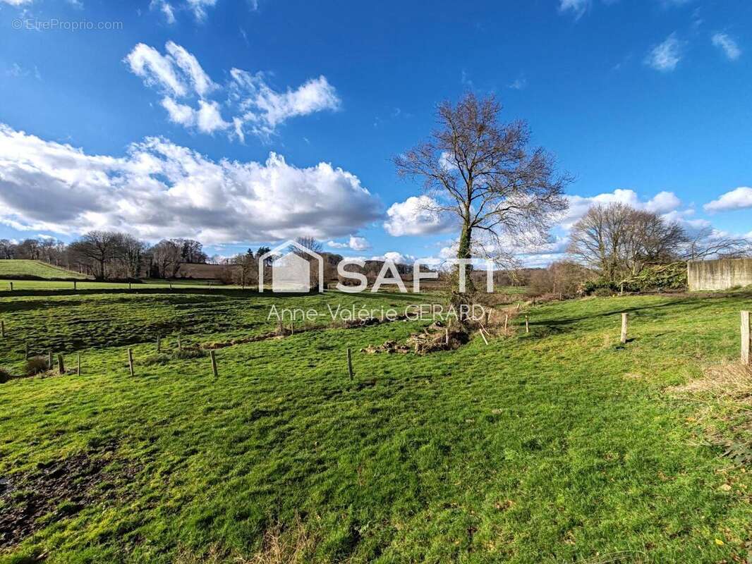 Photo 6 - Terrain à FOUGEROLLES-DU-PLESSIS