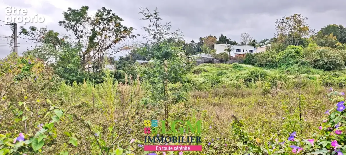 Lot 5 de 358m2 utile et plat en secteur calme sur Bras Creux, Le TAMPON - photo 3