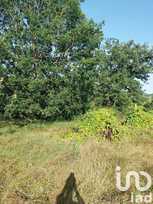 Photo 6 - Terrain à CAZES-MONDENARD