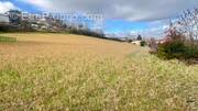 Terrain à SAINT-BENOIT-DE-CARMAUX