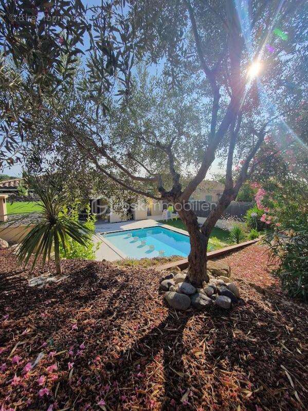 Maison à CAZOULS-LES-BEZIERS