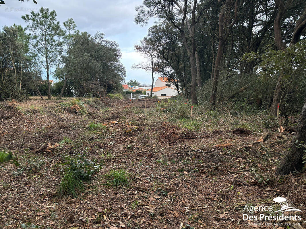 Terrain à LES SABLES-D'OLONNE