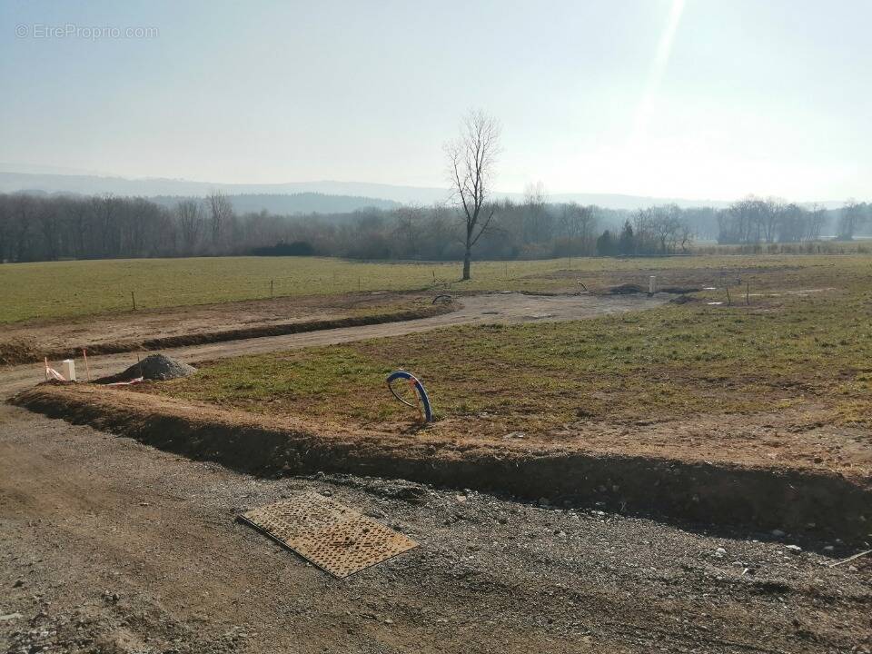 Terrain à SAVIGNY