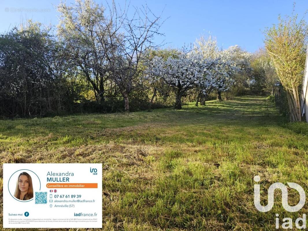 Photo 1 - Terrain à NORROY-LE-VENEUR