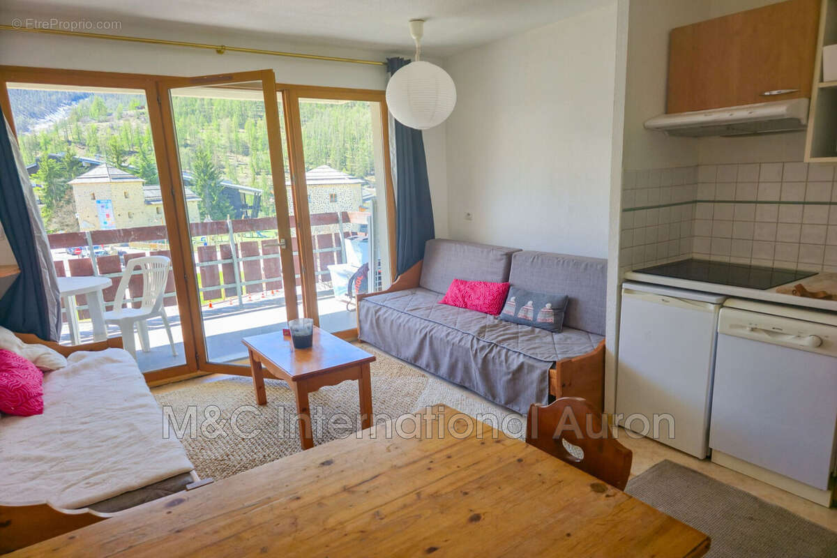 Appartement à SAINT-ETIENNE-DE-TINEE