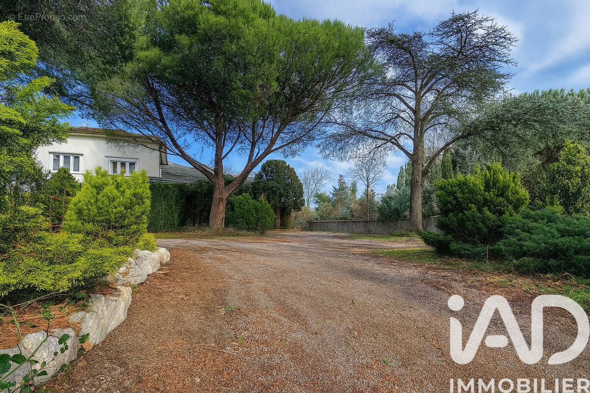 Photo 1 - Appartement à BLAGNAC