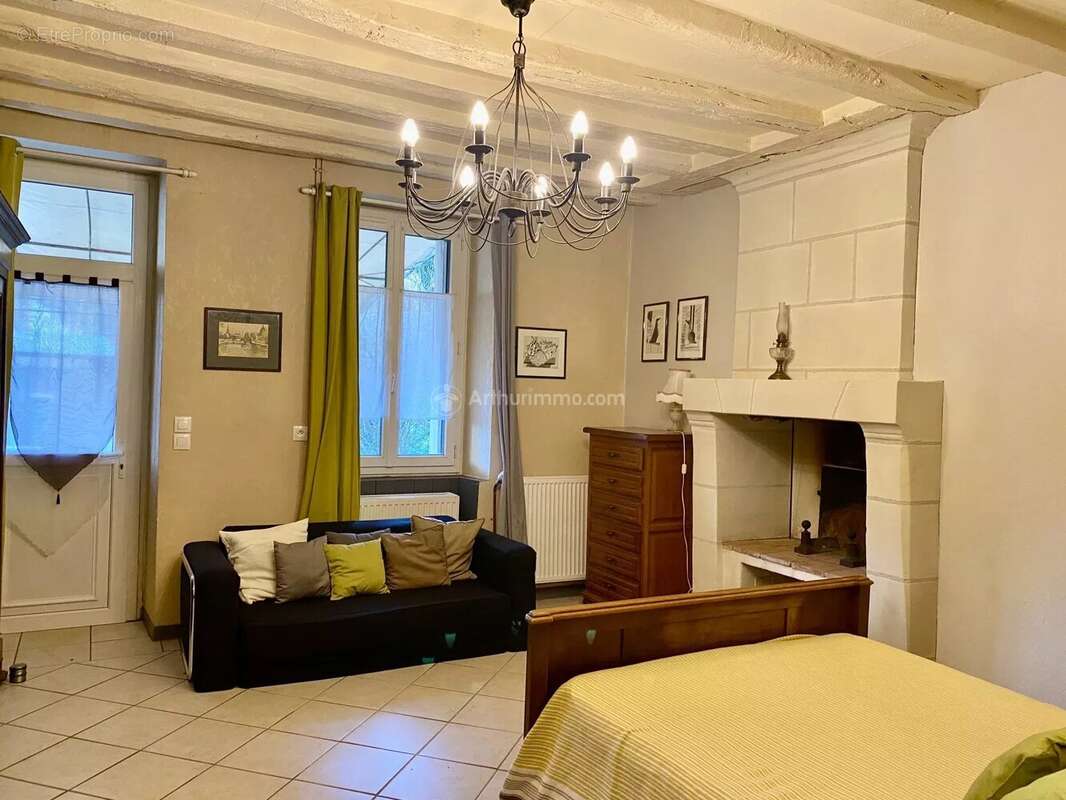 Maison à VILLEDIEU-LE-CHATEAU
